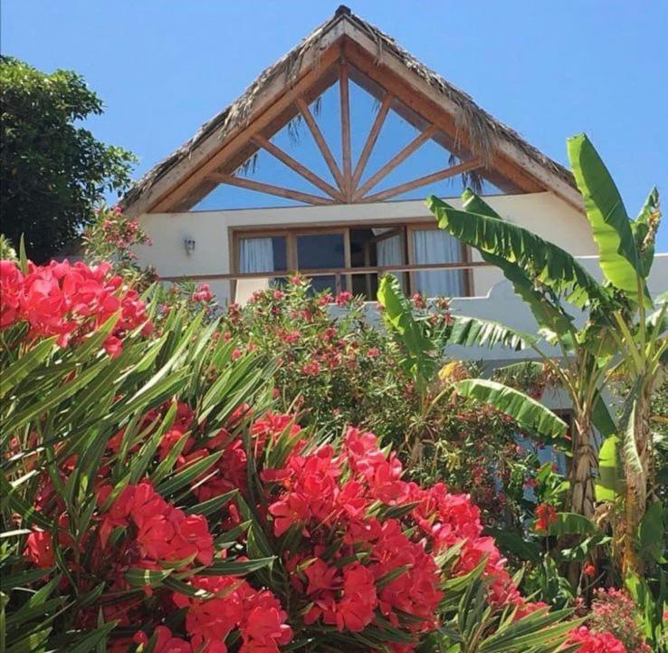 Jhotelresorts Damour Buitenkant foto